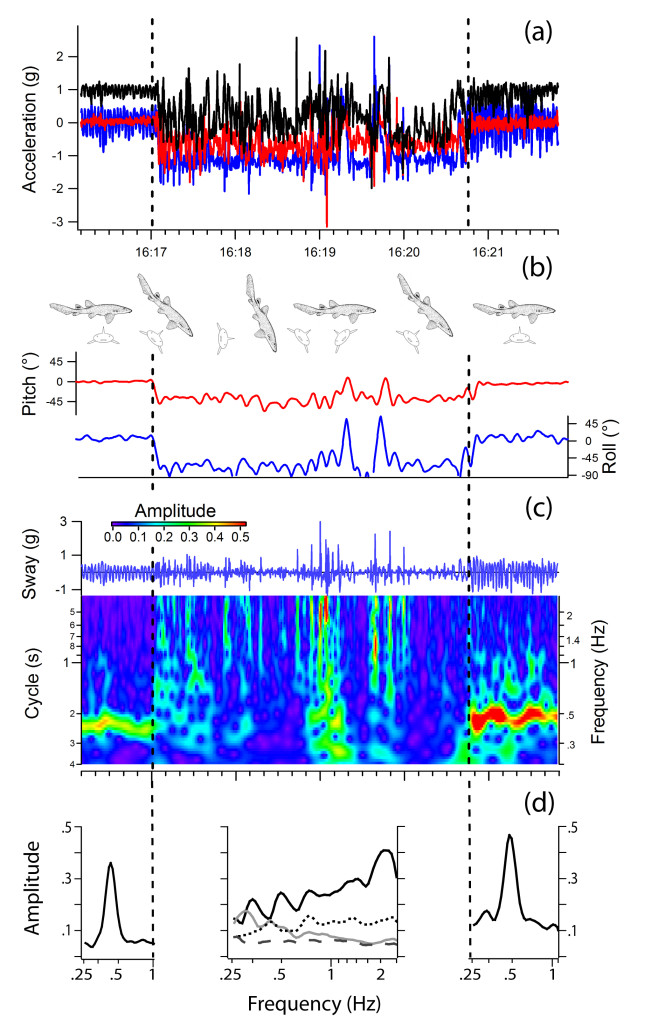 Fig4_Final_Revised_V3_final_tweaks2